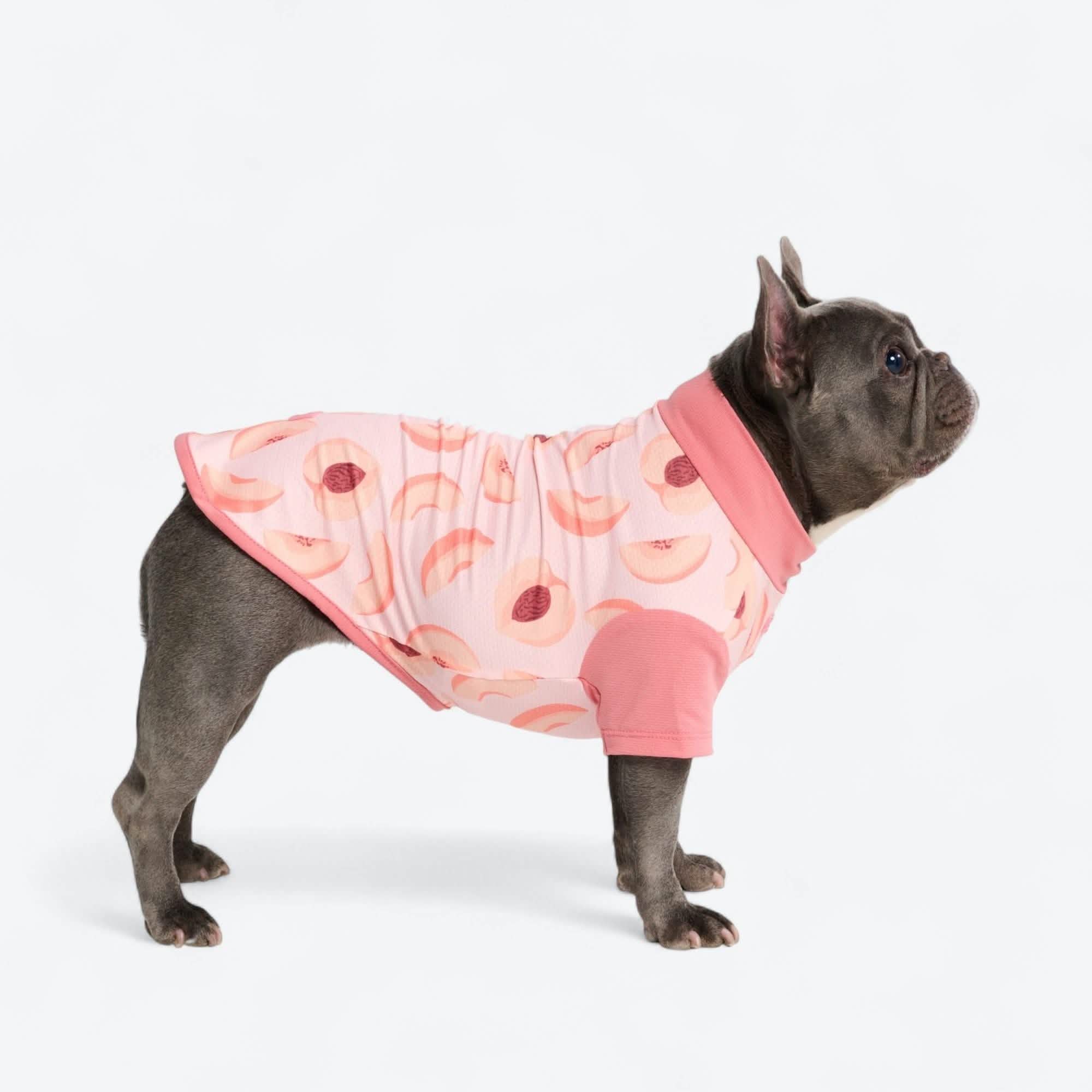 Q2-2025 - New Shirts, Cooling Vest, and Raincoats